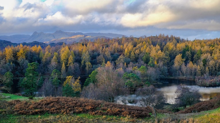 Autumn colour at Tarn Hows, Lake District